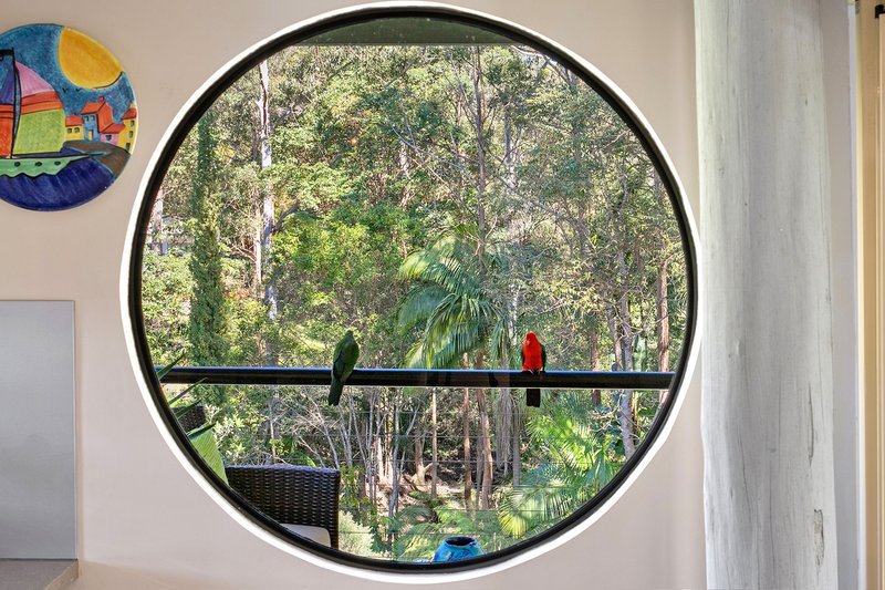 Photo - 19 Saguaro Ct , Tamborine Mountain QLD 4272 - Image 3