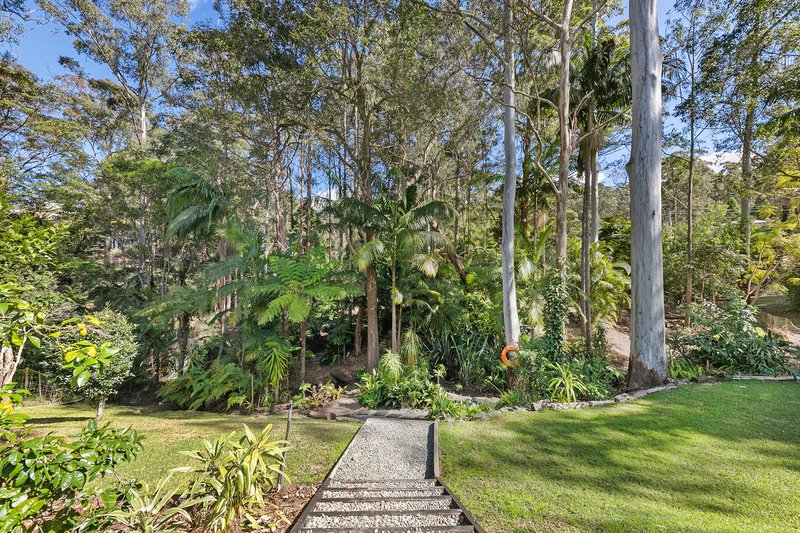 Photo - 19 Saguaro Ct , Tamborine Mountain QLD 4272 - Image 17