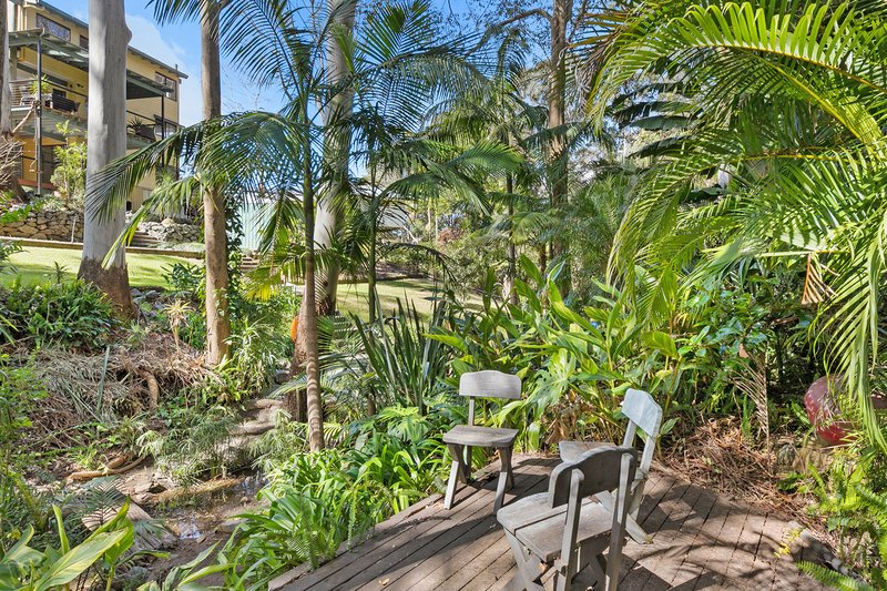 Photo - 19 Saguaro Ct , Tamborine Mountain QLD 4272 - Image 19