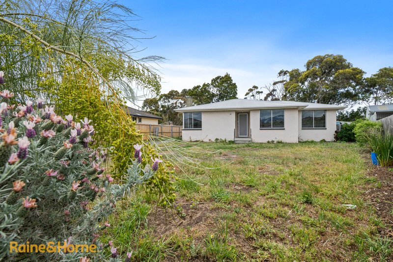 Photo - 19 Saladin Circle, Clarendon Vale TAS 7019 - Image 2