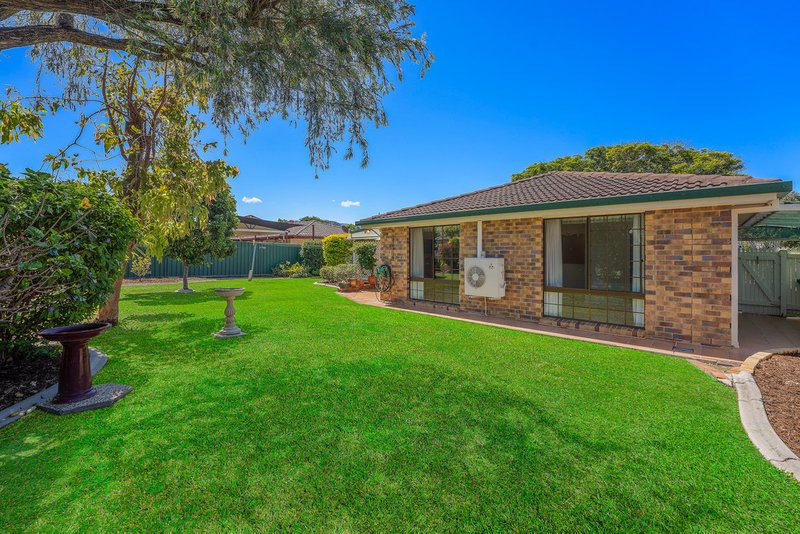 Photo - 19 Salito Street, Carseldine QLD 4034 - Image 17