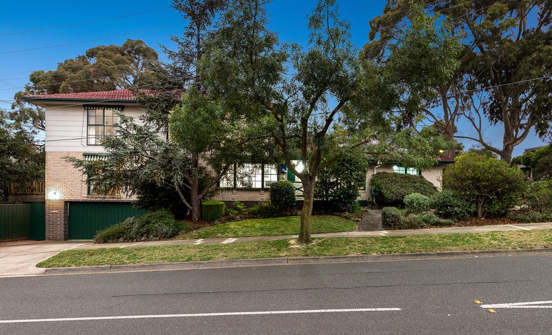 19 Sampson Drive, Mount Waverley VIC 3149