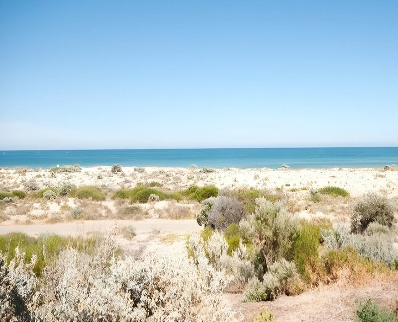 Photo - 19 Seaview Road, West Beach SA 5024 - Image 16