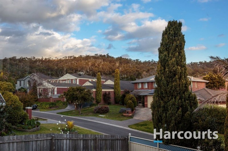 Photo - 19 Sheridan Avenue, Rowville VIC 3178 - Image 13