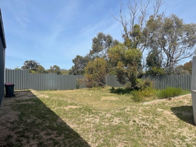 Photo - 19 South Terrace, Balgowan SA 5573 - Image 11