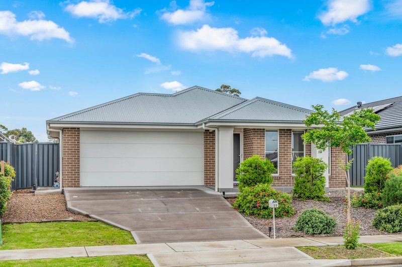 19 Springfield Drive, Lochinvar NSW 2321