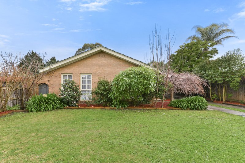 19 Strathavan Drive, Berwick VIC 3806