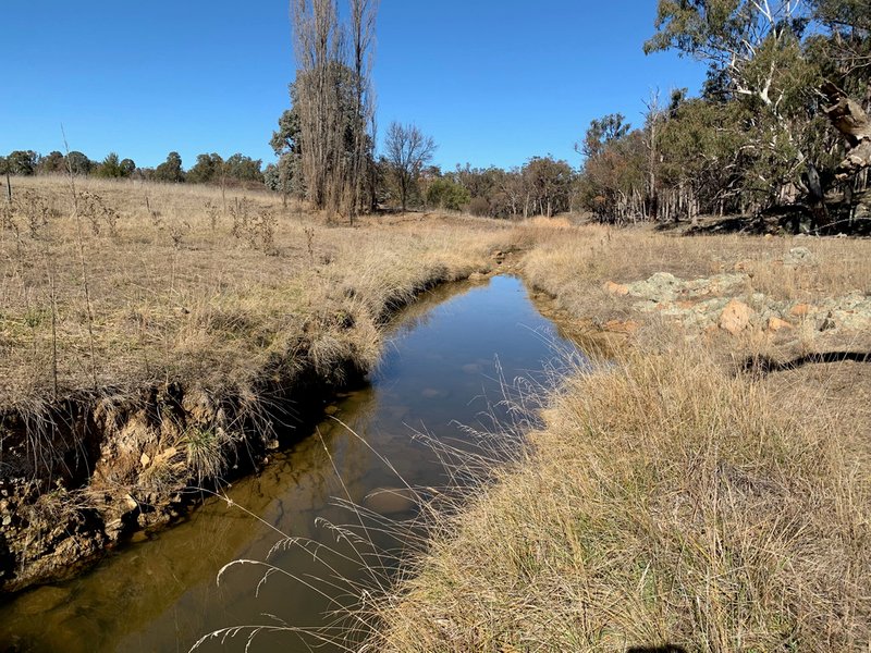 19 Stringybark Ridge Road, Armidale NSW 2350