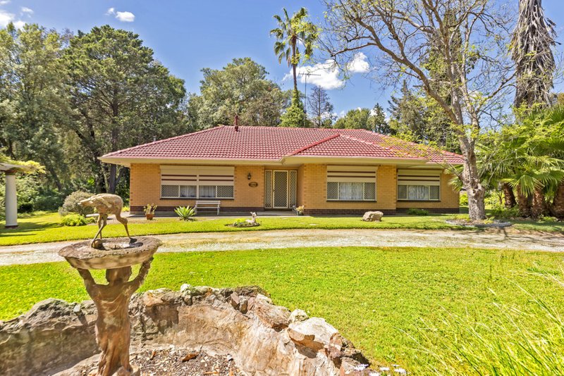 Photo - 19 Sunnydale Ave , Gawler East SA 5118 - Image 3