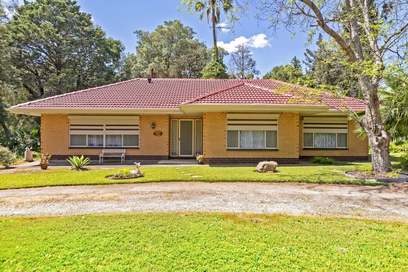 Photo - 19 Sunnydale Ave , Gawler East SA 5118 - Image 5