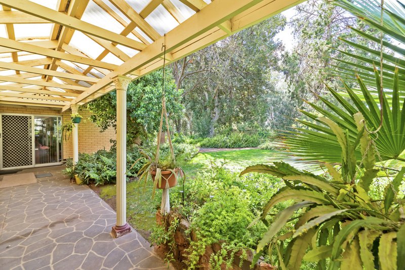 Photo - 19 Sunnydale Ave , Gawler East SA 5118 - Image 9