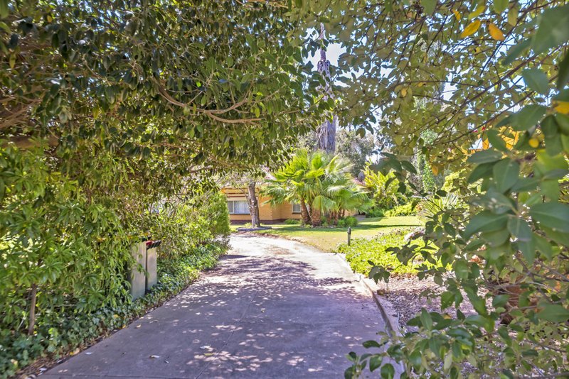 Photo - 19 Sunnydale Ave , Gawler East SA 5118 - Image 14