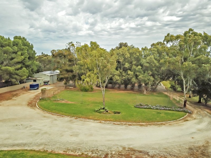 Photo - 19 Sunnydale Ave , Gawler East SA 5118 - Image 17