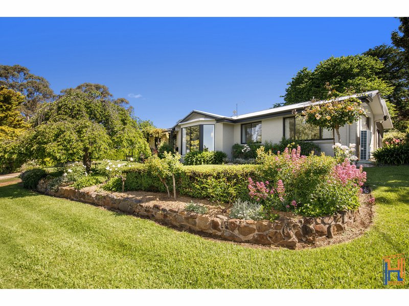 Photo - 19 Sutherland Avenue, Armidale NSW 2350 - Image 21