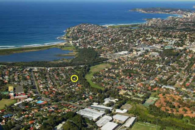 Photo - 19 Tarra Crescent, Dee Why NSW 2099 - Image 2