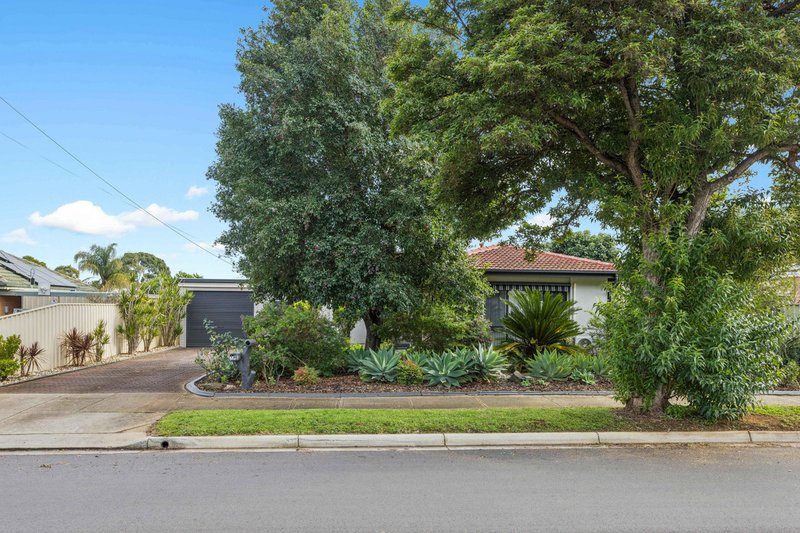 Photo - 19 Terama Street, Gepps Cross SA 5094 - Image 1