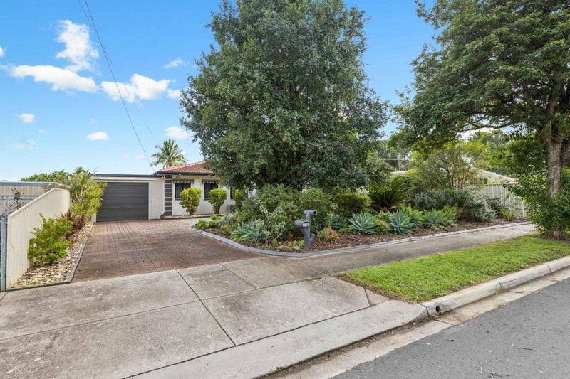 Photo - 19 Terama Street, Gepps Cross SA 5094 - Image 2
