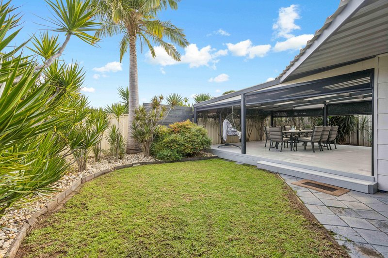 Photo - 19 Terama Street, Gepps Cross SA 5094 - Image 17