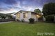 Photo - 19 Tilley Street, Cheltenham VIC 3192 - Image 1