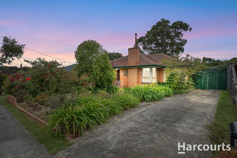 19 Tucker Road, Vermont VIC 3133