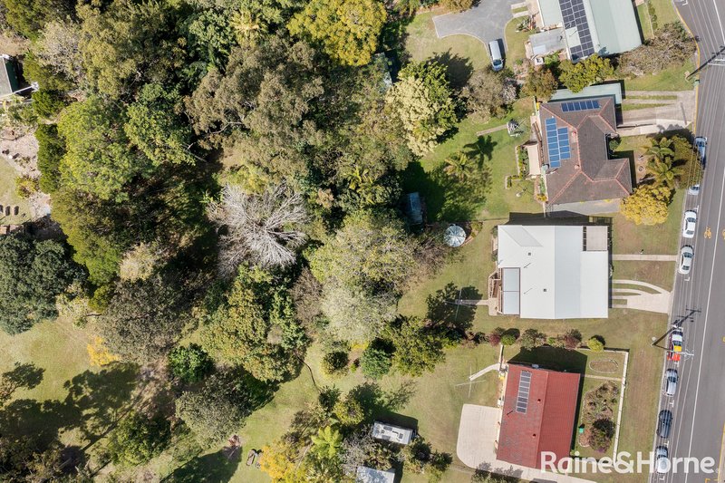 Photo - 19 Tulip Street, Cooroy QLD 4563 - Image 18