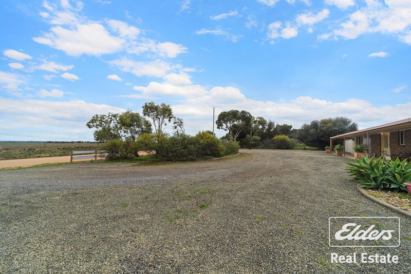 Photo - 19 Twartz Road, Roseworthy SA 5371 - Image 3