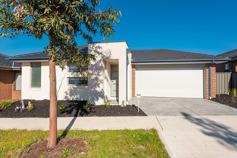 19 Versant Drive, Craigieburn VIC 3064