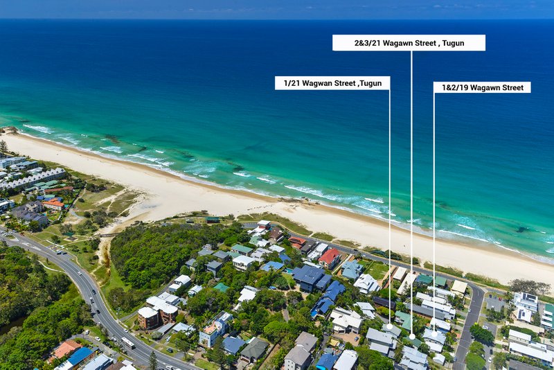 Photo - 19 Wagawn Street, Tugun QLD 4224 - Image 2