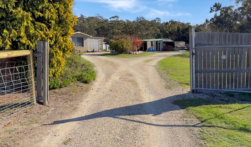 Photo - 19 Walker Street, St Helens TAS 7216 - Image 17