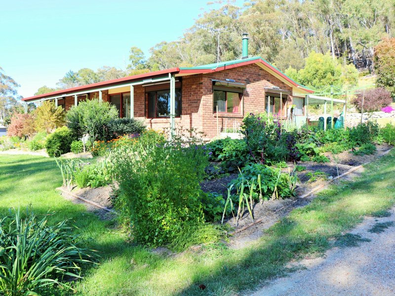 19 West Street, St Helens TAS 7216