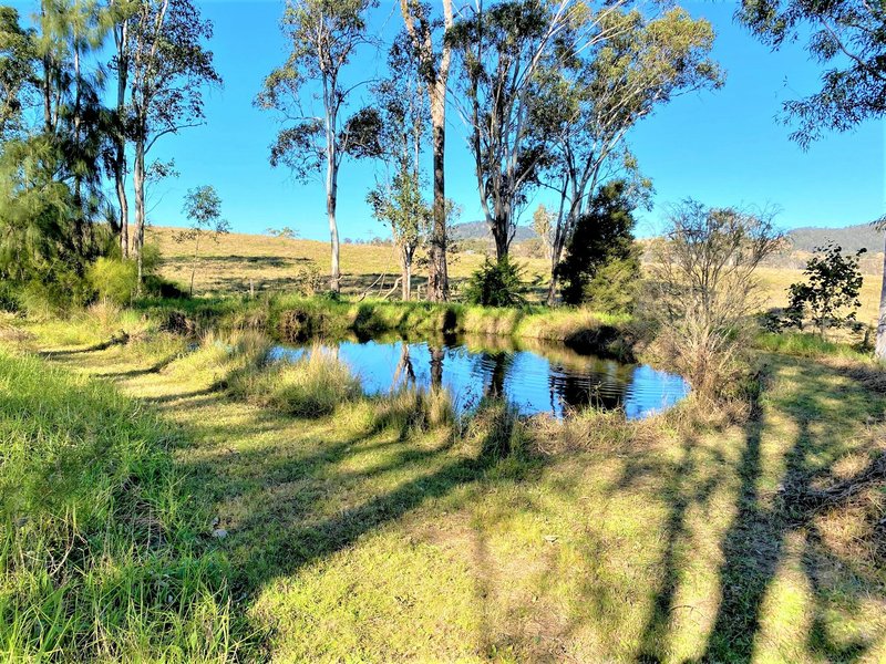 Photo - 19 Westleys Rd , Faulkland NSW 2422 - Image 2