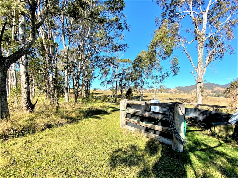 Photo - 19 Westleys Rd , Faulkland NSW 2422 - Image 15