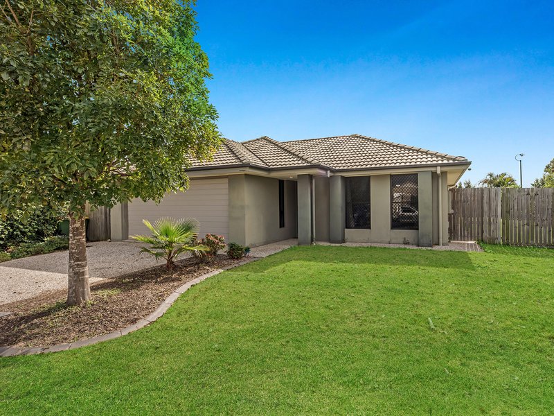 Photo - 19 Westminster Crescent, Raceview QLD 4305 - Image 15