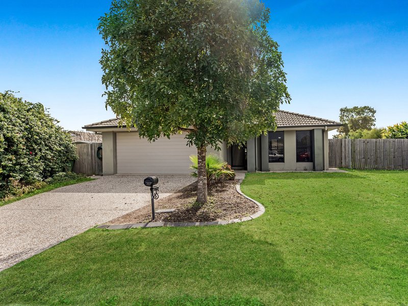 Photo - 19 Westminster Crescent, Raceview QLD 4305 - Image 16