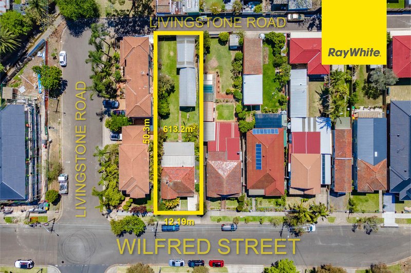 Photo - 19 Wilfred Street, Lidcombe NSW 2141 - Image 10