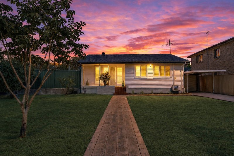 Photo - 19 William Road, Riverwood NSW 2210 - Image 1