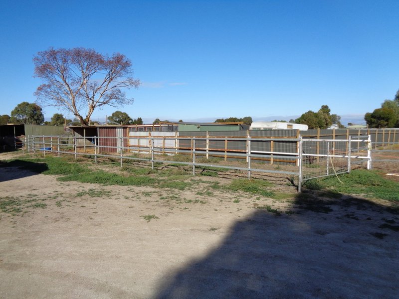 Photo - 19 Williams Road, Two Wells SA 5501 - Image 22