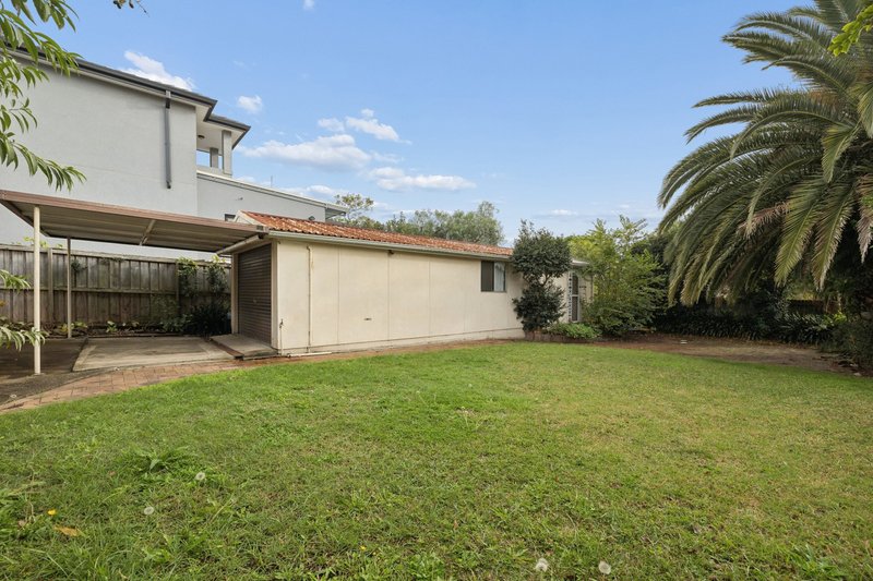 Photo - 19 Wonga Street, Strathfield NSW 2135 - Image 19