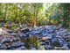 Photo - 1900 Maleny Stanley River Road, Booroobin QLD 4552 - Image 3