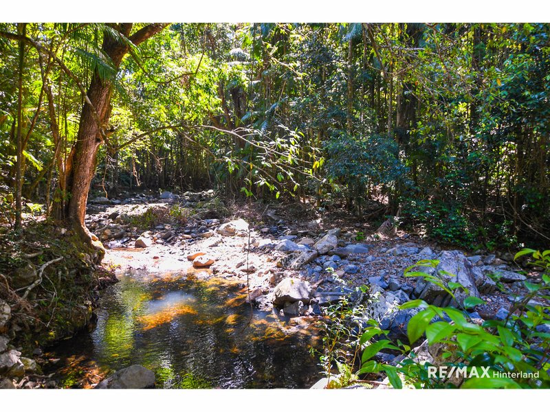 Photo - 1900 Maleny Stanley River Road, Booroobin QLD 4552 - Image 16