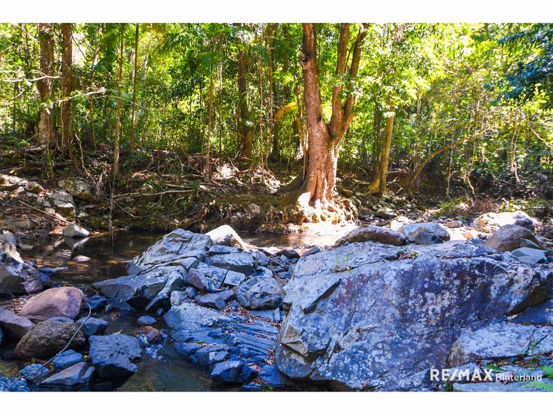 Photo - 1900 Maleny Stanley River Road, Booroobin QLD 4552 - Image 17