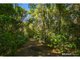 Photo - 1900 Maleny Stanley River Road, Booroobin QLD 4552 - Image 20