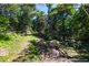 Photo - 1900 Maleny Stanley River Road, Booroobin QLD 4552 - Image 21