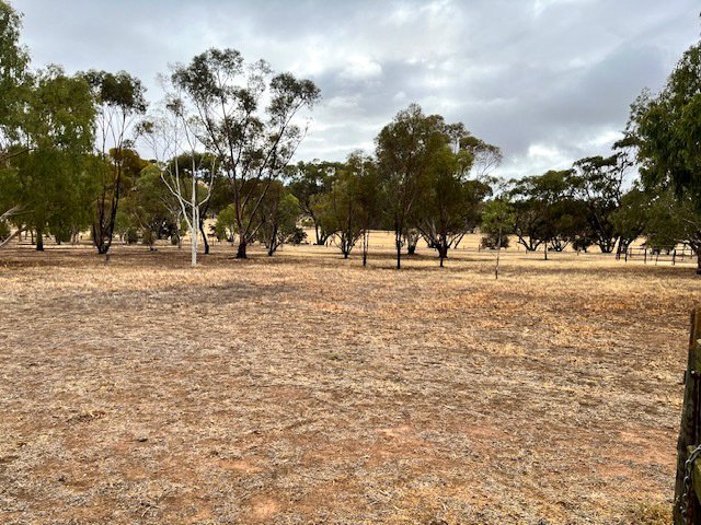 Photo - 1909 Top Beverley - York Road, York WA 6302 - Image 21