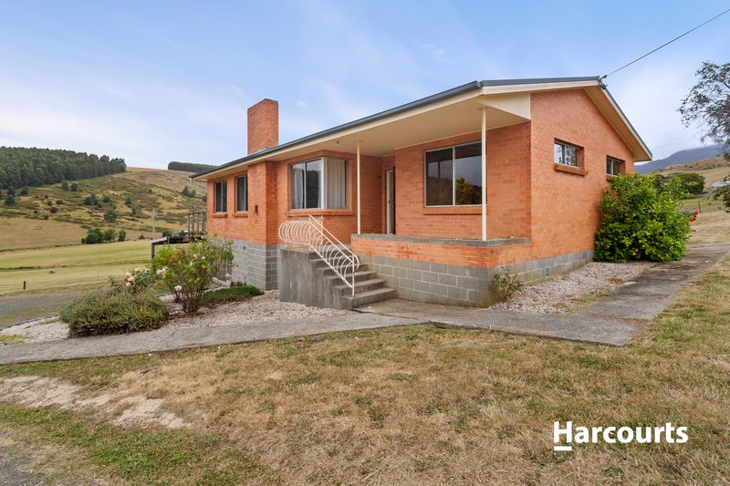 Photo - 191 Browns Road, North Lilydale TAS 7268 - Image 3