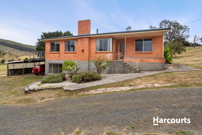 Photo - 191 Browns Road, North Lilydale TAS 7268 - Image 4