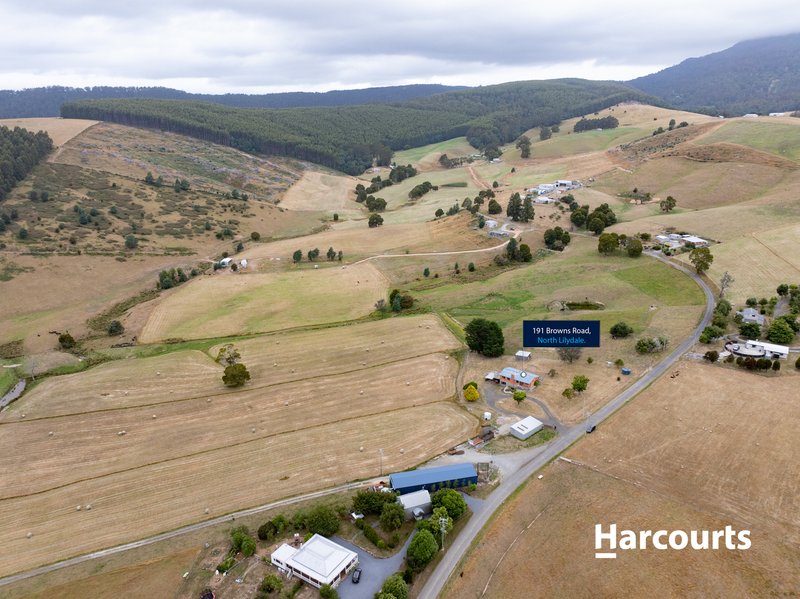 Photo - 191 Browns Road, North Lilydale TAS 7268 - Image 27