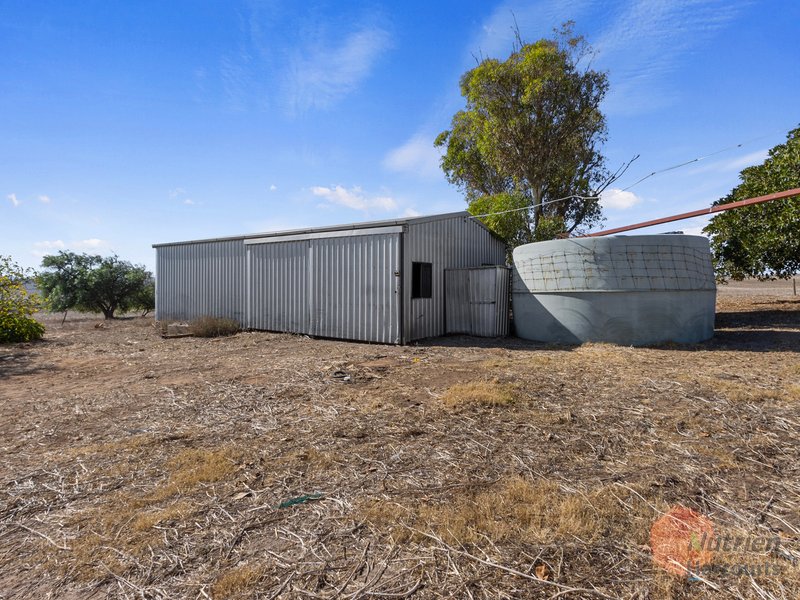 Photo - 191 Dans Road, Curramulka SA 5580 - Image 17