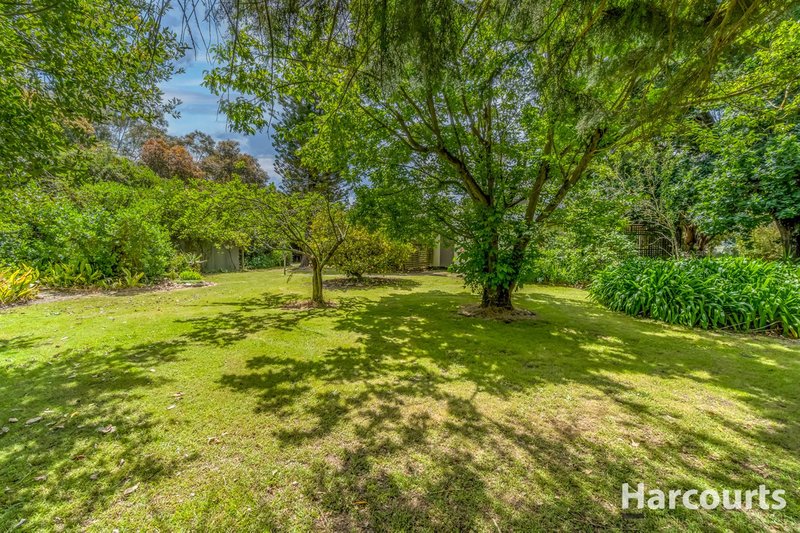 Photo - 191 Ranch Road, Tanjil South VIC 3825 - Image 18