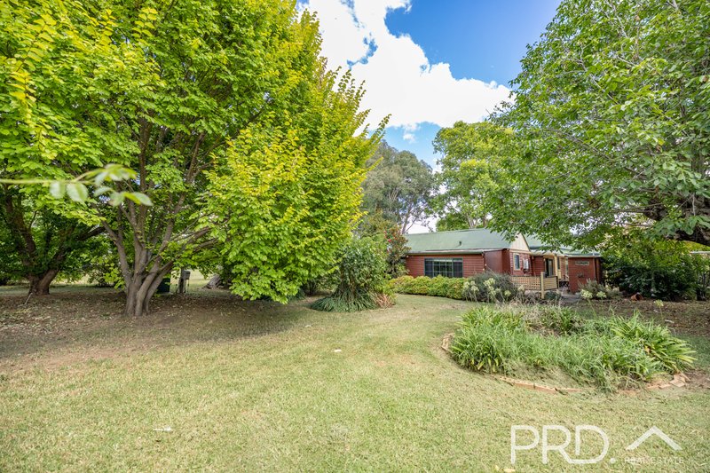 Photo - 1916 Adelong Road, Tumblong NSW 2729 - Image 16